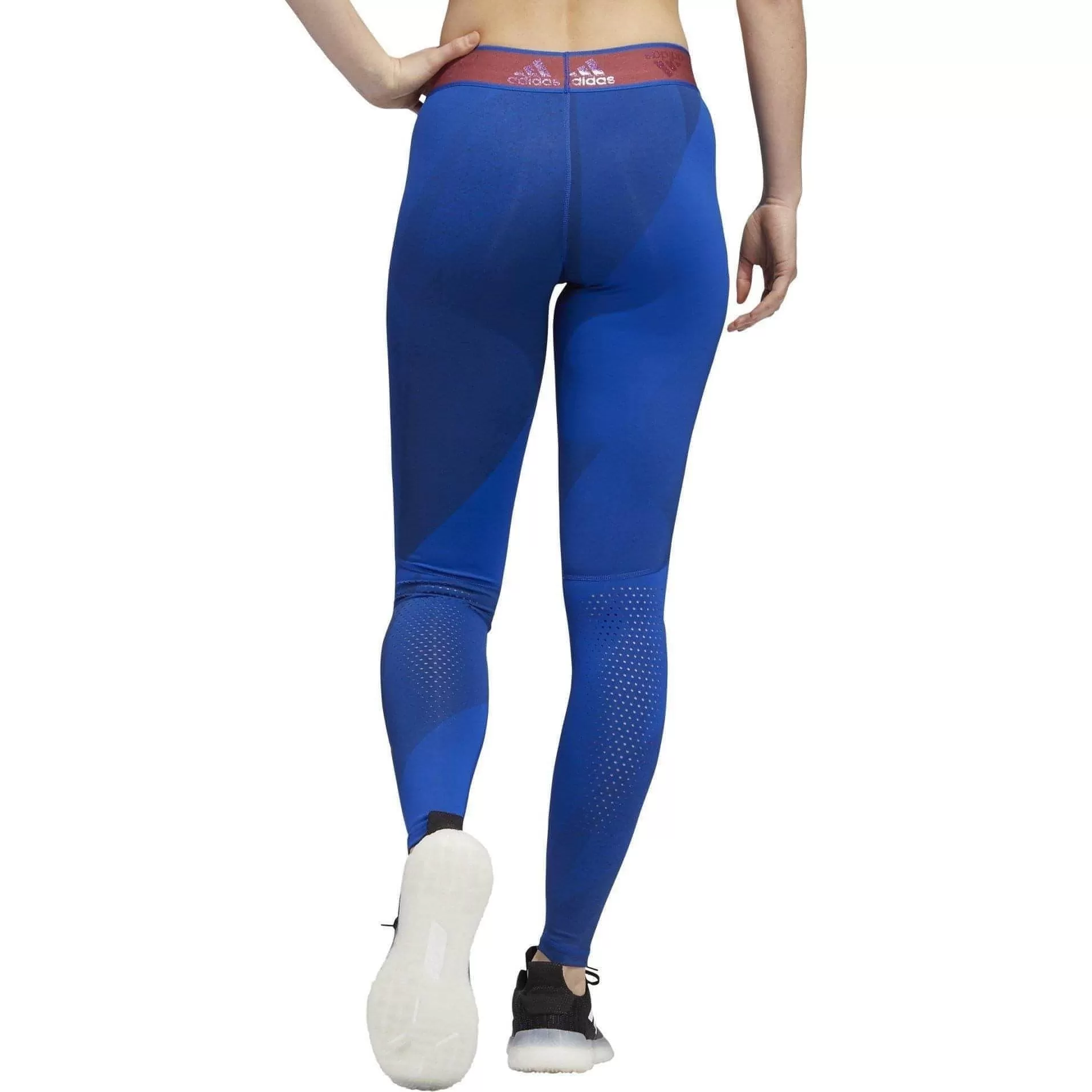 adidas AlphaSkin Graphic Womens Long Training Tights - Blue